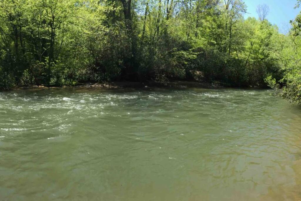 Cabin Fever On Cartecay River Ellijay Exterior foto